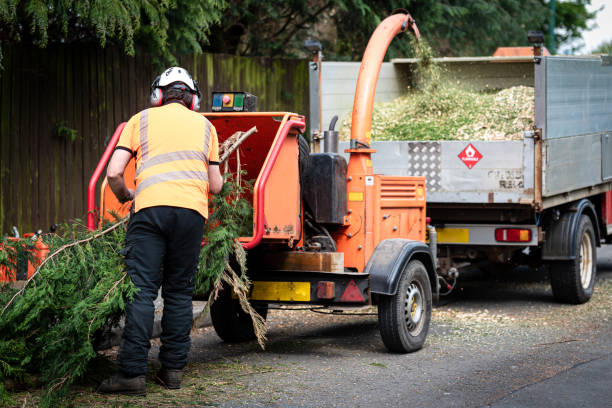Best Lawn Drainage Solutions  in Redland, TX