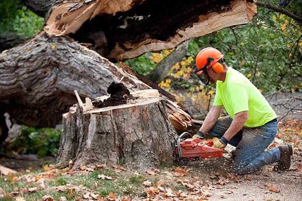 Mulching Services in Redland, TX